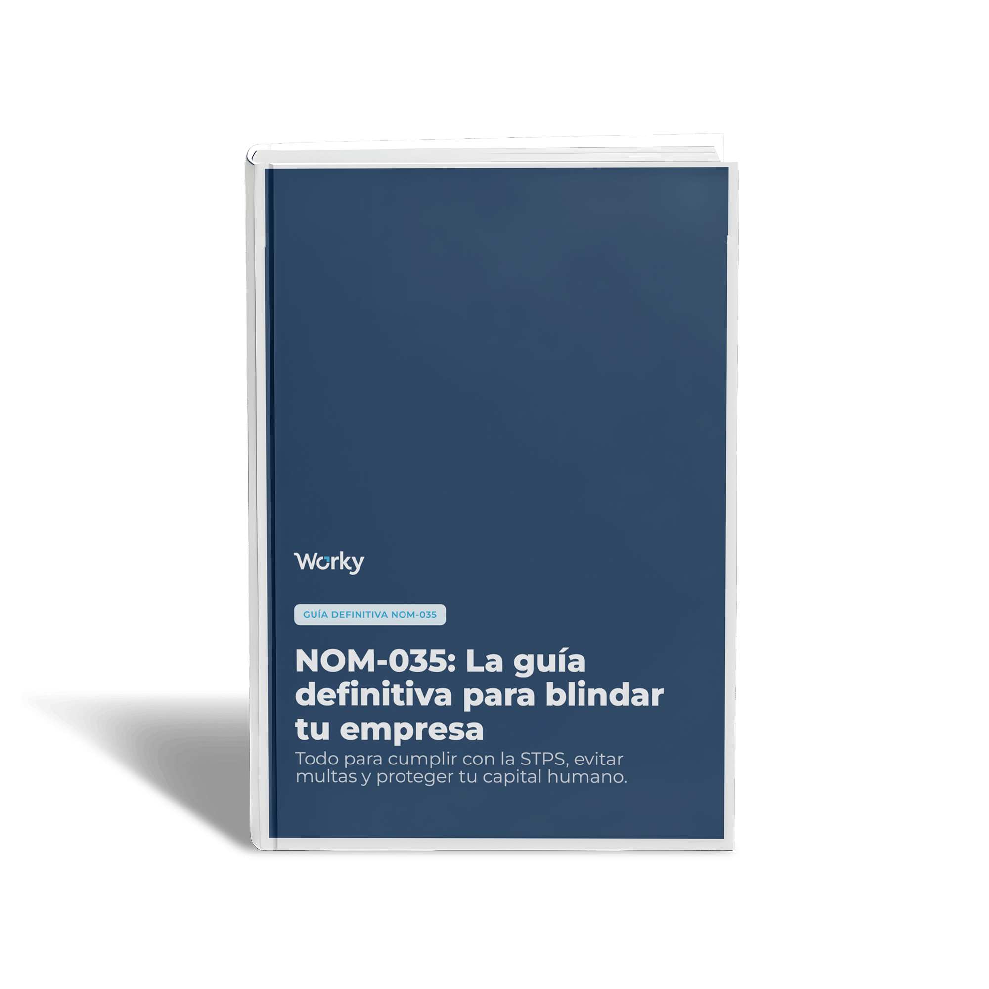 NOM 035 3 NOM 035 3